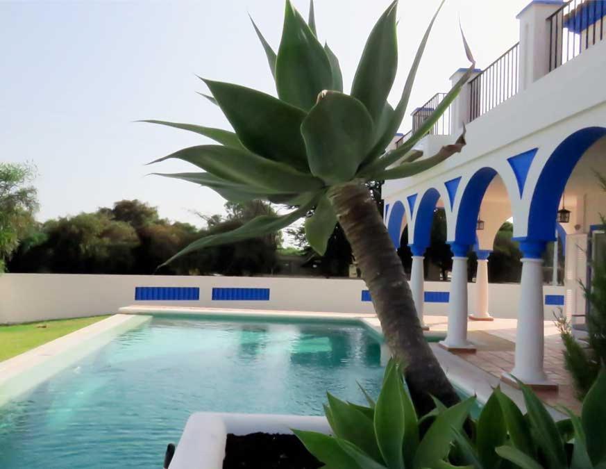 Villa De Lujo En Sancti Petri Novo Sancti Petri Extérieur photo